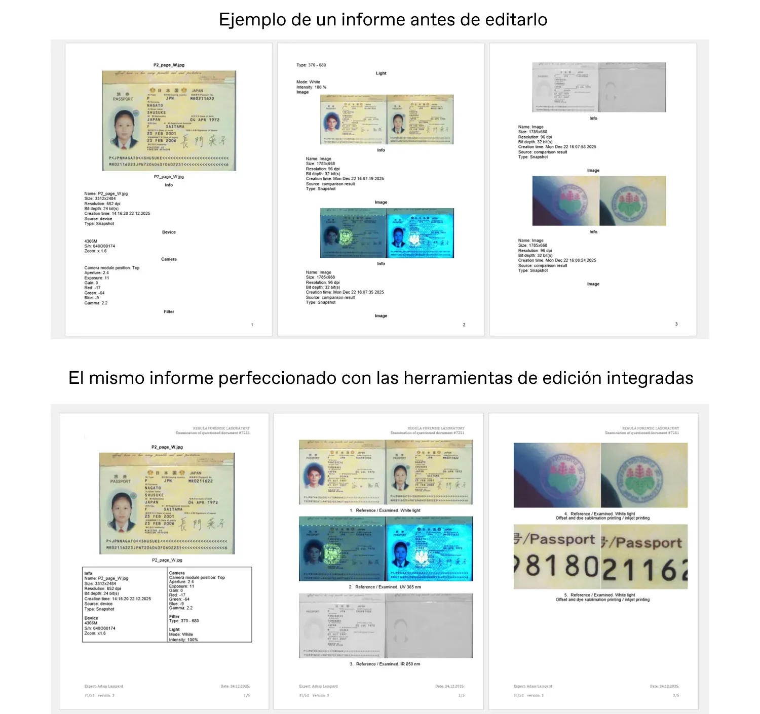 herramienta de edición de informes